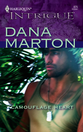 Cover image for Camouflage Heart